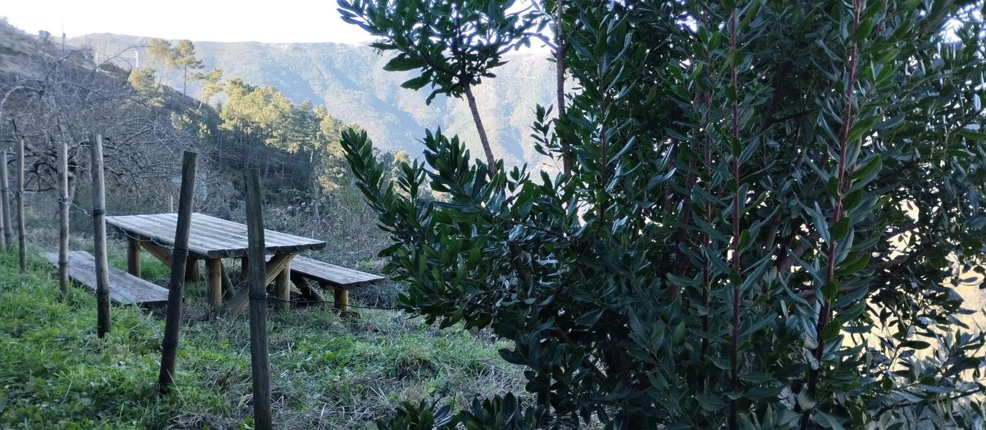 Casa Da Quelha Guest House Chas de Egua Luaran gambar
